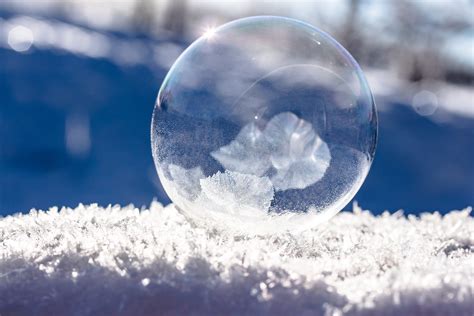 Free photo: Close-up of Snowflakes - Outdoors, Winter, Transparent ...