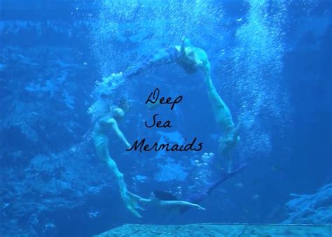 Deep Sea Mermaids (Deep Sea Mermaids) - Youtube Mermaid Shows Wiki - Wikia