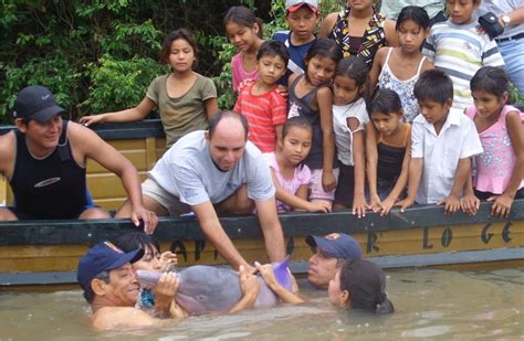 Centro de rescate de Loreto devuelve a delfín rosado a su hábitat natural | Noticias | Agencia ...