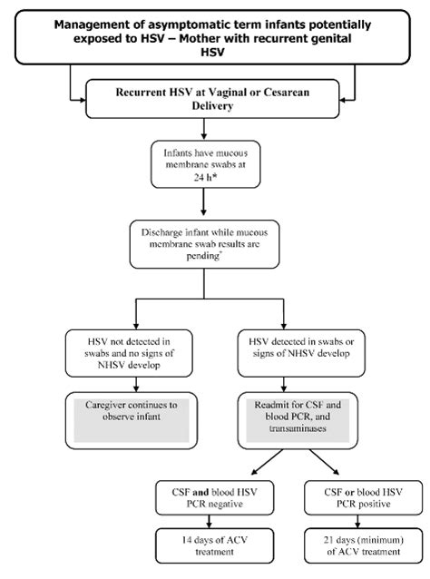 herpes genitalis treatment guidelines