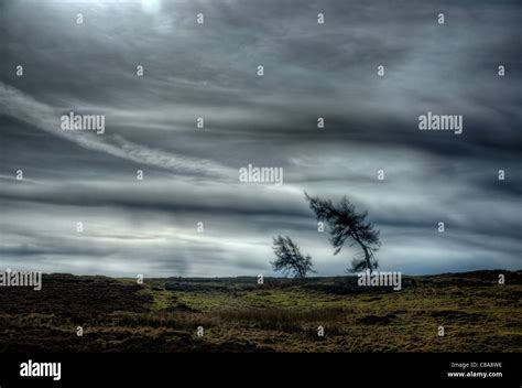 Yorkshire Moors landscape Stock Photo - Alamy