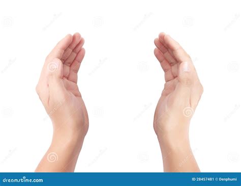 Open palm a hand gesture stock image. Image of giving - 28457481