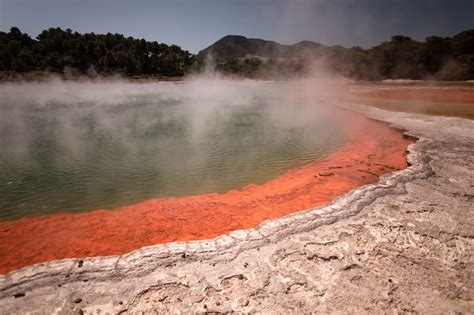 Rotorua's Geothermal Wonders | Holdens Bay Holiday Park