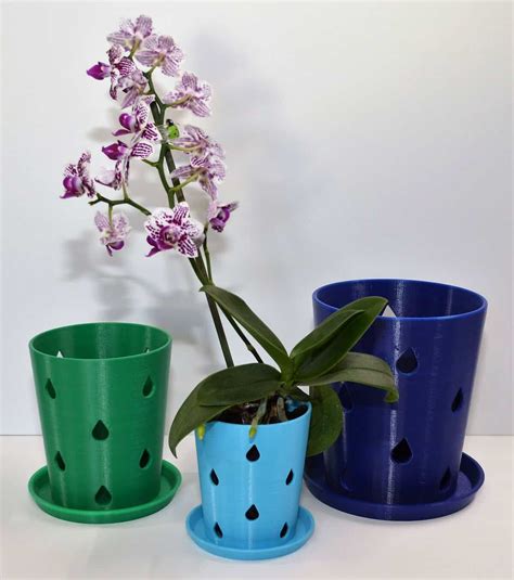 10 Best Orchid Pots & Containers - Paisley Plants