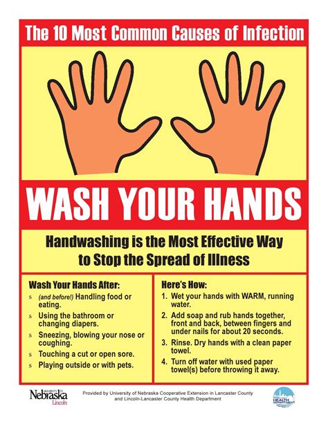 Wash Your Hands! | Kitchen safety tips, Hand hygiene, Kitchen safety