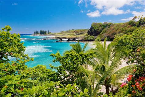 It's Official: These Are the Best Beaches in Hawaii