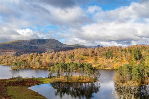 Tarn Hows walk - The Tarns walk - Coniston walks - Lake District walks