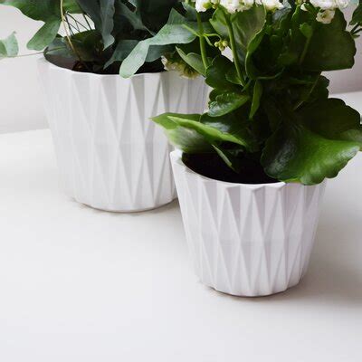 Indoor Pots & Planters | Wayfair.co.uk