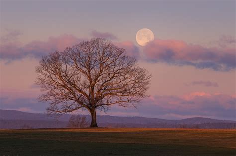 Moonset | Hadley, MA | Patrick Zephyr Photography