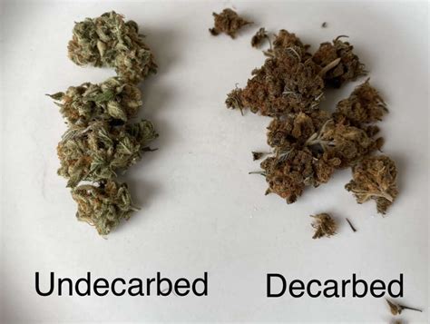 Cannabis Defined: An Ultimate Guide to Weed Terms - THCSD