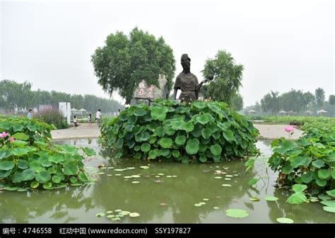 美丽的白洋淀风景高清图片下载_红动中国