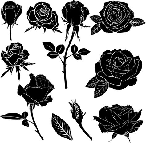 Black rose vector illustration free download