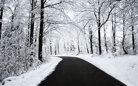 Black and White Winter Wallpapers - Top Free Black and White Winter Backgrounds - WallpaperAccess