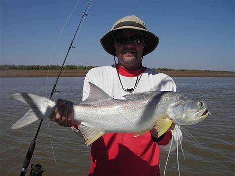 Glenns Threadfin Salmon | Fishing - Fishwrecked.com - Fishing WA. Fishing Photos & Videos