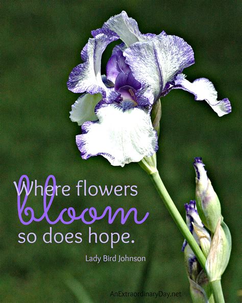 Bloom Inspirational Quotes. QuotesGram