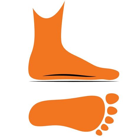 Understanding Your Foot Arch Type Understanding your foot arch type is ...