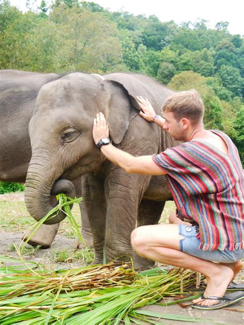 [UPDATED] ELEPHANT JUNGLE SANCTUARY PHUKET