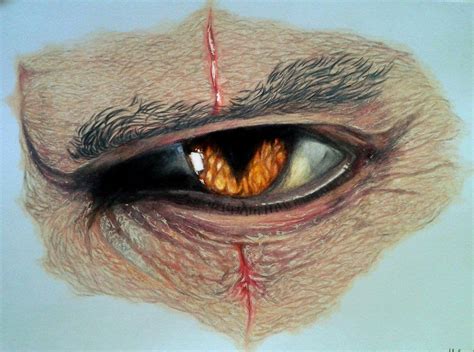 The Witcher Eye | The witcher, Witcher art, Witcher tattoo