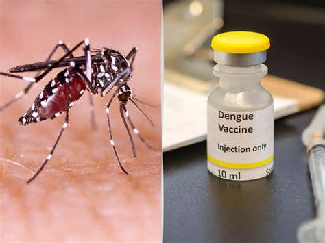 Why don’t we have a safe and effective dengue vaccine yet