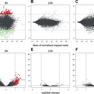 The effects of knock-down of AhR gene expression on AhR gene and ...