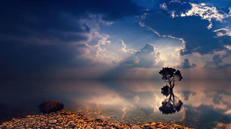 Lonely Tree Sunbeams Wallpaper,HD Nature Wallpapers,4k Wallpapers,Images,Backgrounds,Photos and ...