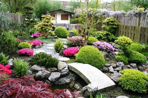 181 best images about Feng Shui Plants on Pinterest