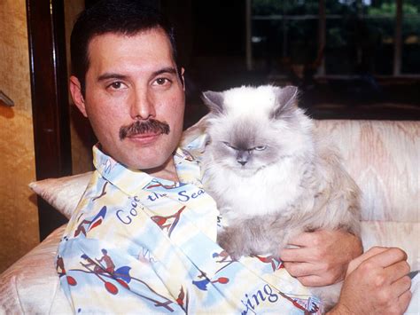 Ten Cats: The True Highlight of Freddie Mercury’s Life Story |UK Pets