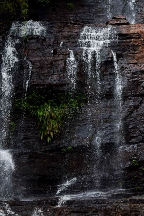 Vertical Shot of Jhari Falls in Chikmagalur District in Karnataka State ...