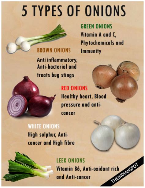 Types Of Onion Plants