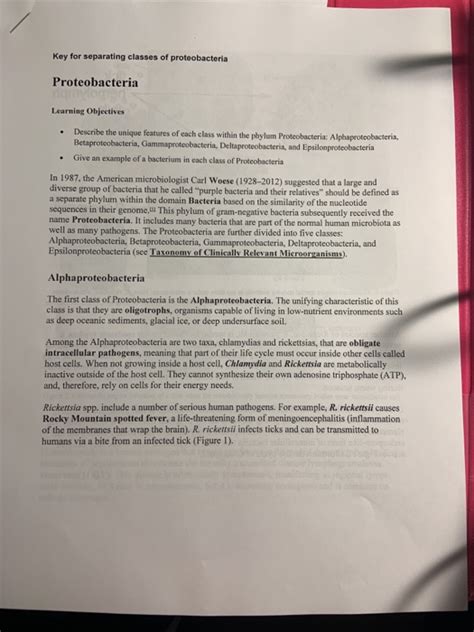 Solved Key for separating classes of proteobacteria | Chegg.com