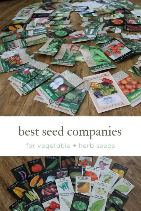 Best Seed Companies | Family Food Garden