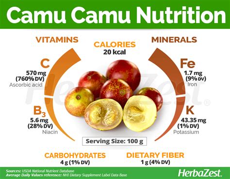 Camu Camu | HerbaZest