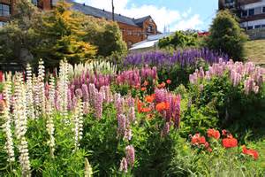 File:Flower garden in Ushuaia (5543010755).jpg - Wikimedia Commons