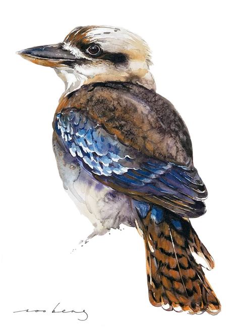 Kookaburra Drawing by Soo Beng Lim | Saatchi Art