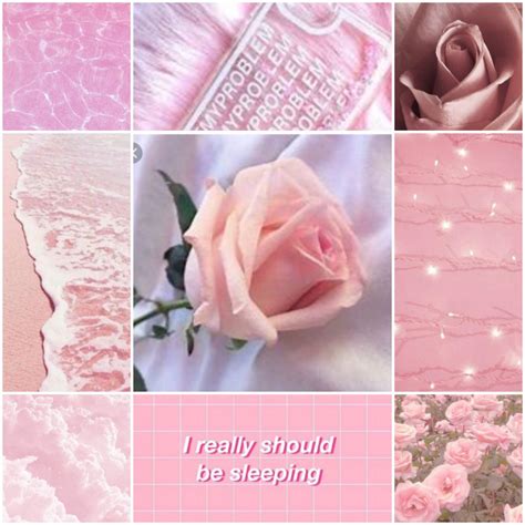 Pink Aesthetic Moodboard | aesthetics Amino