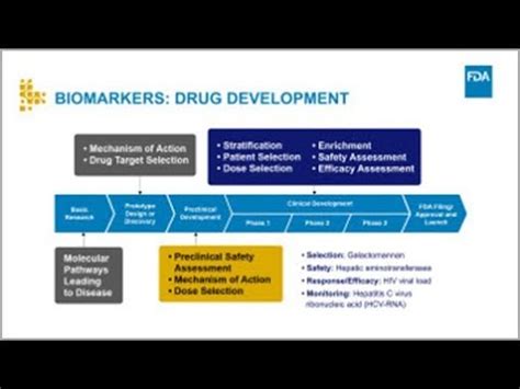 How Biomarkers Can Improve the Drug Development Process - YouTube