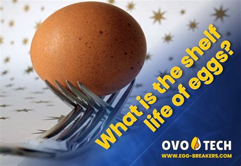 News - articles about egg processing and safety. OVO-TECH