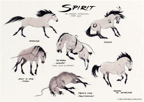 Dreamworks Spirit Stallion Create