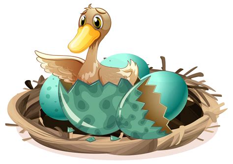 Ugly duckling hatching egg in nest 526826 Vector Art at Vecteezy