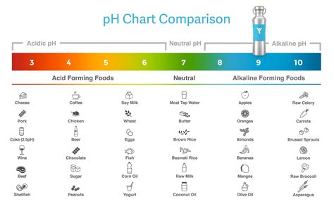 Everything You Need To Know About Alkaline Water – DYLN