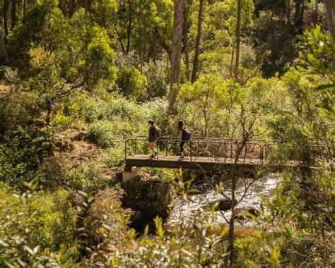 Heritage walking trails in NSW – National Trust