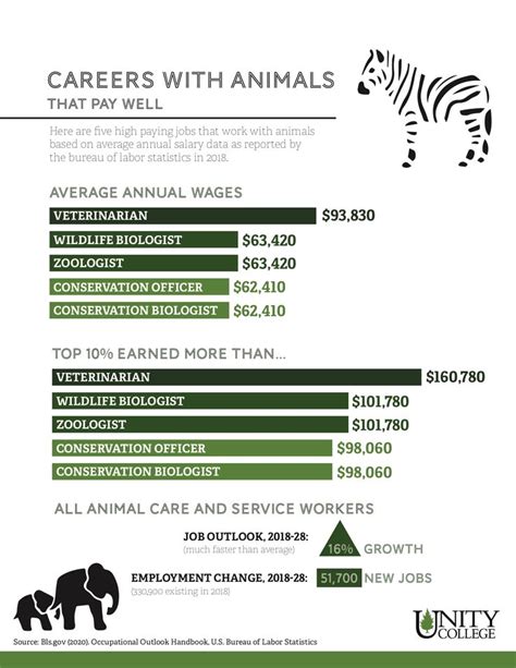 20+ Cool Careers With Animals (That Pay Well) in 2021 | Jobs with ...