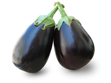 eggplant Free Photo Download | FreeImages