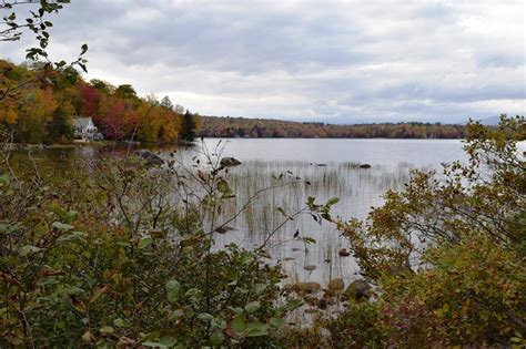 New Vineyard – Maine: An Encyclopedia