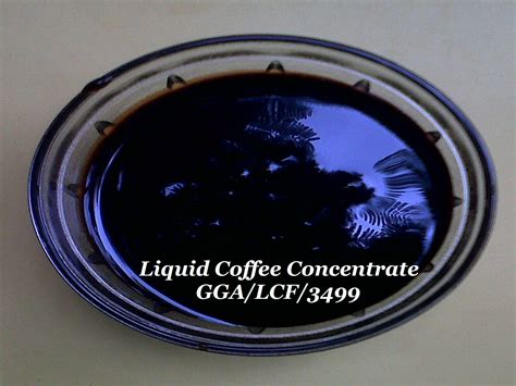 Liquid Coffee Concentrate, फूड कंसन्ट्रेट in Chengalpattu, Chennai , GG ...