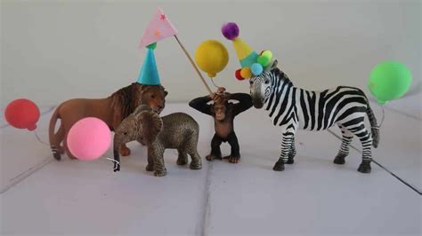 Animals Wearing Party Hats