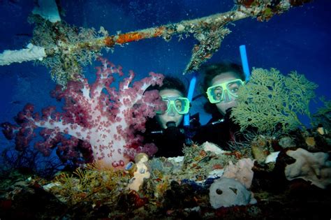 Land Down Under: Airlie Beach: Scuba Diving (again, in the GREAT ...