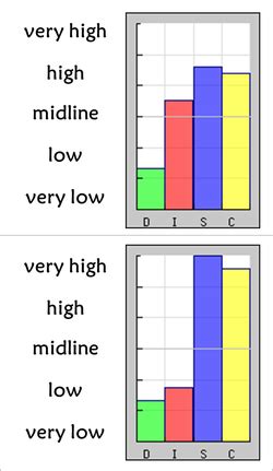 DISC Profile Type Intensity | Life and Leadership