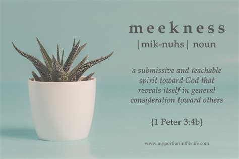 The Lost Fruit of Meekness – My Portion in this Life