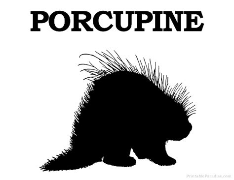 Printable Porcupine Silhouette - Print Free Porcupine Silhouette